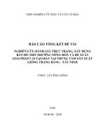 Nghiên cứu đánh giá thực trạng, xây dựng bản đồ thổ nhưỡng nông hóa và đề xuất giải pháp cải tạo đất tại Trung tâm sản xuất giống Trảng Bàng - Tây Ninh