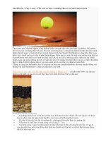 Sân đất nện - Clay Court : Cấu trúc cơ bản và những chia sẻ của nhà chuyên môn pot