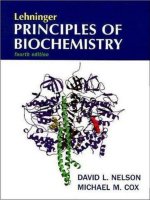 lehninger principles of biochemistry, fourth edition - david l. nelson, michael m. cox
