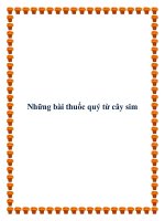 Những bài thuốc quý từ cây sim pdf