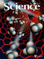 Tạp chí khoa học số  2006-05-19