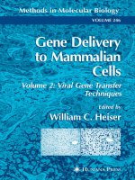 gene delivery to mammalian cells, volume 2