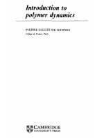 introduction to polymer dynamics