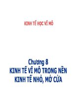 Bài giảng kinh tế vĩ mô- Chương kinh tế vĩ mô trong nền kinh tế nhỏ, mở cửa