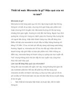 Thiết kế web: Microsite là gì? Hiệu quả của nó ra sao? pot