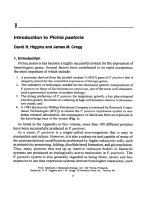 pichia protocols