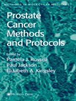 prostate cancer, methods and protocols