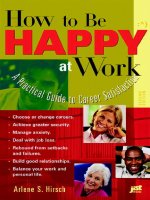 How to be happy at work a practical guide to career satisfication (2003)