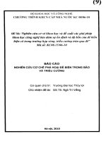 Nghiên cứu cơ sở khoa học và đề xuất các giải pháp khoa học công nghệ đảm bảo sự ổn định và độ bền của đê biển hiện có trong trường hợp sóng, triều cường tràn qua đê nghiên cứu cơ chế phá hoại đê biển trong bão và triều cường