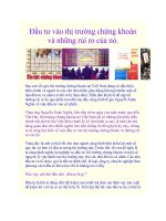 Đầu tư vào thị trường chứng khoán và những rủi ro của nó. potx