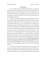 bước đầu xác định thiệt hại kinh tế do hoạt động giao thông đối với môi trường thành phố hà nội