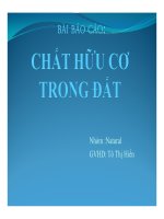 Bài báo cáo: Chất hữu cơ trong đất