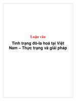 luận văn tình trạng đô-la hoá tại việt nam – thực trạng và giải pháp