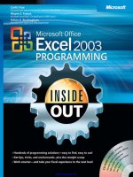 microsoft office excel 2003 programming inside out