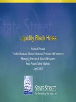 persaud-liquidity black holes