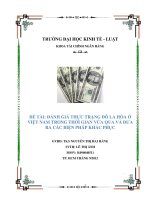 Đánh giá thực trạng đô la hóa ở Việt Nam trong thời gian vừa qua và đưa ra các biện pháp khắc phục