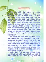 Thực trạng lao động và việc làm tại xã Bình Lộc, Huyện Lộc Hà, Tỉnh Hà Tĩnh