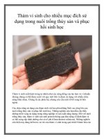 Thảm vi sinh cho nhiều mục đích sử dụng trong nuôi trồng thủy sản và phục hồi sinh học doc