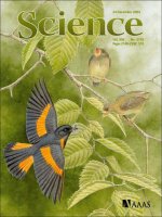 Tạp chí khoa học số  2004-12-24