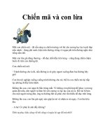 Chiến mã và con lừa pdf