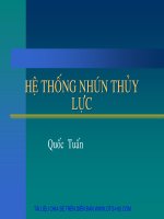 HỆ THỐNG NHÚN THỦY LỰC TRÊN XE MÁY
