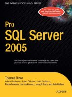 pro sql server 2005