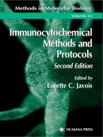 immunocytochemical methods and protocols, 2nd