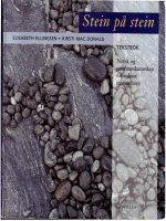 stein på stein tekstbok (color)