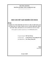 Nghiên cứu tổng hợp một số chất ức chế ăn mòn kin loại có tính năng ức chế ăn mòn cao từ nguồn phế liệu nông sản như vỏ trấu, lõi ngô của các cơ sở xay xát lúa ngô