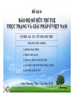 Thuyết trình bảo hộ sở hữu trí tuệ, thực trạng và giải pháp ở việt nam