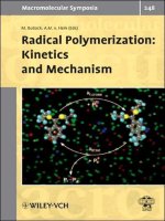 radical polymerization kinetics and mechanism