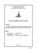 Nghiên cứu triển khai công nghệ chế tạo mái chèo cao bằng vật liệu composit sợi cacbon aramit bazan