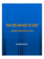 Bài giảng thay đổi văn hóa tổ chức   lưu trọng tuấn