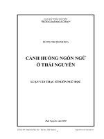 Đề tài  :Cảnh huống ngôn ngữ ở Thái Nguyên