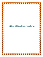 Những bài thuốc quý từ cây hẹ pot