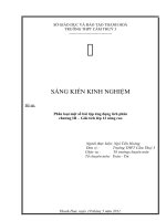 Phân loại một sô bài toán ứng dụng tích phân - sáng kiến kinh nghiệm