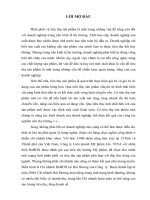 một số giải pháp nhằm nâng cao hiệu quả tiêu thụ sản phẩm tại chi nhánh hải dương