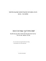 Báo cáo thực tập tổng hợp tại ngân hàng phát triển việt nam