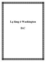 Lạ lùng ở Washington D.C pot