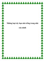 Những loại cây bạn nên trồng trong nhà của mình potx