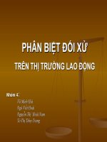 Phân biệt đối xử thị trường lao động pot