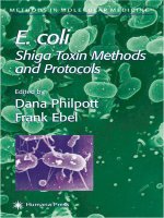 e. coli, shiga toxin methods and protocols