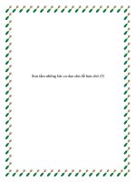 Những bài ca dao chủ đề tình yêu đôi lứa pptx