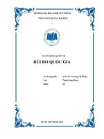 tiểu luận ngân hàng quốc tế - rủi ro quốc gia