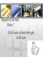 sổ kế toán và hình thức ghi sổ kế toán