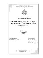 phân tích hiệu quả hoạt động kinh doanh của công ty tnhh thuận thiên