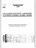 birkhoff g., lynch r. lagrangian hydrodynamic computations and molecular models of matter 