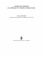 an approach to strong interactions