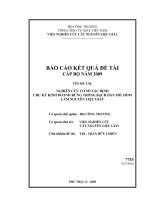 nghiênc ứu cơ sở xác định chu kỳ kinh doanh rừng trồng bạch đàn mô, hom làm nguyên liệu giấy