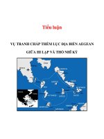 Tiểu luận: VỤ TRANH CHẤP THỀM LỤC ĐỊA BIỂN AEGEAN GIỮA HI LẠP VÀ THỔ NHĨ KỲ docx